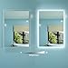 HAUSCHEN HOME 32 x 24 inch LED Lighted Bathroom Mirror, Wall Mounted Dimmable Vanity Backlit Mirror, Anti-Fog Mirror, 3-Color Adjustable Warm/Natural/White Light, Horizonal & Vertical, ETL Listed