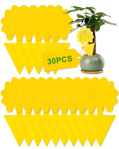 Acual 30 Pcs Pièges à Insectes, Anti Moucherons Interieur, Double-Face Étanche Jaunes Attrape Autocollants, Ultra Efficace Non Toxiques, pour Les Insectes Intérieurs et Extérieurs