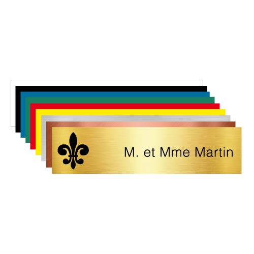 Plaque Gravée Pour Boîte Aux Lettres Personnalisable Avec Votre Nom et Prénom Ornement Lys - Dimensions 10 x 2,5 Cm - Aspect Or Brossé Avec Écriture Noir