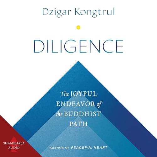 Diligence by Dzigar Kongtrul episode artwork