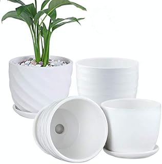Plant Pots - 4.7 Inch Cylinder Ceramic Planters with Connected Saucer, Pots for Succuelnt and Little Snake Plants, Set of ...