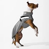 DOGOPAL Regenmantel Hund wasserdicht für kleine & große Hunde - Hunderegenmantel mit Reflektorstreifen - Wasserdichter Hundemantel, Regenschutz & Regenjacke (Grau, 2XL)
