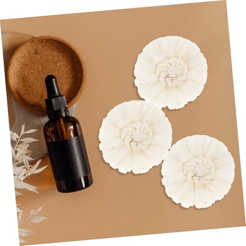 Difusor de flores secas de algodón natural NOLITOY 4 pcs miniatura 5