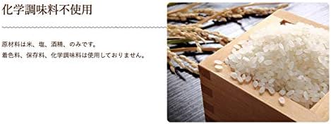 【1個入り】はなまるき駅隊 塩麹液 うまみを食べに!グルテンフリー 遺伝子組み換えなし
