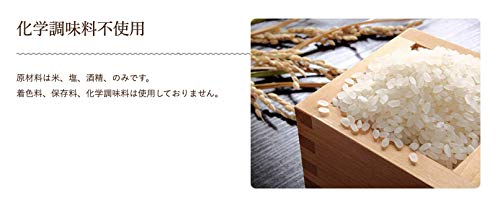 【1個入り】はなまるき駅隊 塩麹液 うまみを食べに!グルテンフリー 遺伝子組み換えなし