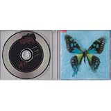 アゲハ蝶 - ポルノグラフィティ