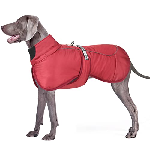 Dolahovy Chaqueta de Perro de Invierno Abrigo Cálido para Perros Ropa de Mascota Ajustable Jersey para Perros Reflectante Perros con Anilla en D para Perros Medianos Grandes Exterior (4XL, Rojo) Cover