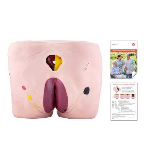 Image of JNMFTD Geriatric Decubitus Ulcer Nursing Model, 4 Stages Pressure Ulcers Advanced Nursing Elderly Bedsore Human Model Wound Kit with Product Manual Card for Hospital Medical Education Study