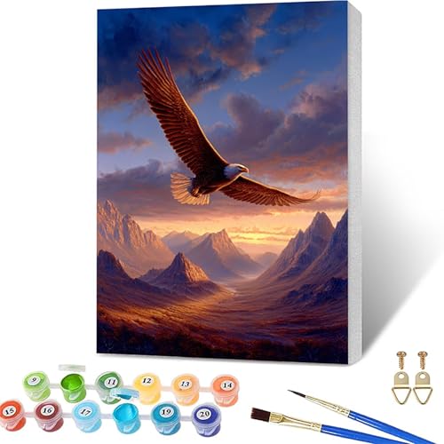 Eagle Paint by Numbers Kit for Adults with Frame, Landscape DIY Paint by Numbers for Beginner on Canvas, Crafts for Adults with Brushes and Acrylic, Acrylic Painting Kits, Wall Decor, 16x20in D-6212