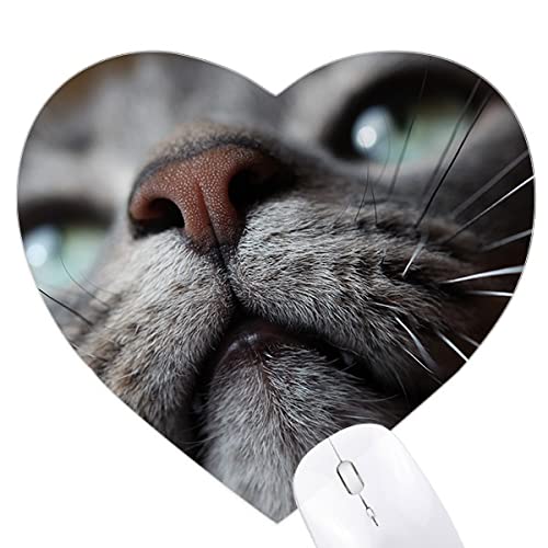 L̎ʐ^Ă铮 n[g^}EXpbhSpbh