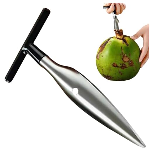 Coconut Water Opening Tool
