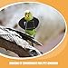 Toyvian 4pcs Parrot Outdoor Collar Bird Cone Protector Pet Elizabethan Collar for Macaw African Parakeet Cockatiel