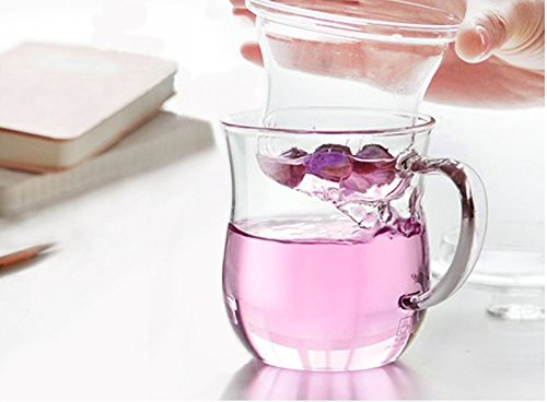 Moyishi Glass Tea Cup Glass Infuser And Lid 350Ml #TOP2
