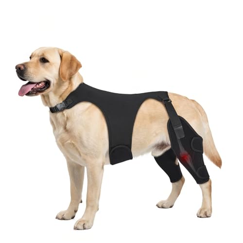 Pawfun Dog Knee Brace for Torn ACL Hind Leg- Dog Leg Support Brace with Metal Stabilizers for Torn CCL, Limping, Luxating Patella, Ligament Injuries, Hip Dysplasia& Arthritis,XXL&Vest5