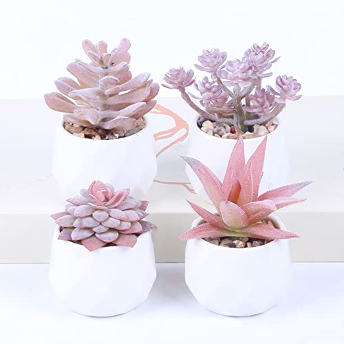 Dribotway Lot de 4 mini plantes succulentes artificielles en pot pour la maison, le jardin, le bureau et la décoration extérieure (rose) Cover