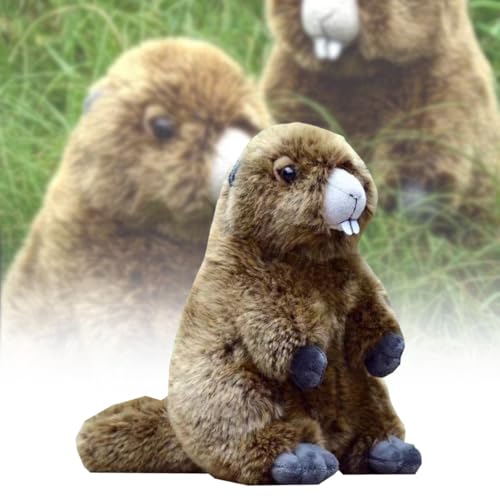 マーモットのぬいぐるみ｜リアルなデザインなどのおすすめランキング