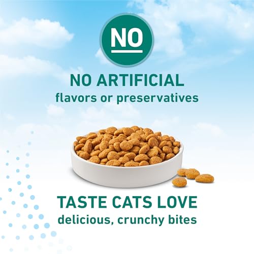 Purina ONE LiveClear Allergen-Reducing Cat Food Dry Formula with Real Chicken As The Number One Ingredient - 3 lb. Bag - image 9