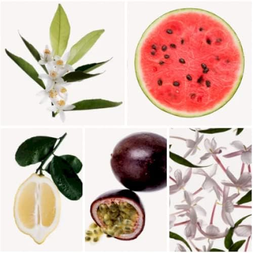 Shakira Perfumes - Rock by Shakira for Women - Long Lasting - Fresh, Femenine and Dynamic Fragance - Floral and Fruity Notes - Ideal for Day Wear - 80 ml