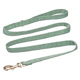 Petiry Soft Dog Lead with Gold Metal Clasp for Puppy Small Dogs,1.5cm x 150cm,Laurel Green,S - Image 3