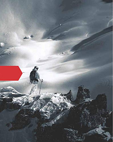 Amazon | アルバARVA EVO5 エボファイブ 雪崩アバランチビーコン 超