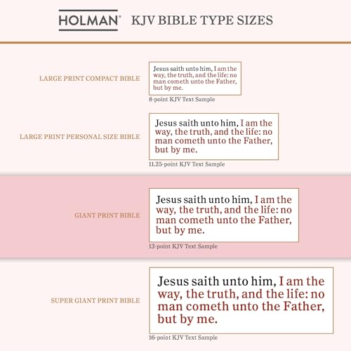 Image of KJV Holy Bible, Giant Print with Cross-References, Soft Pink LeatherTouch with Floral Cover Design, Thumb Index, Ribbon Marker, Red Letter, Full-Color Maps, Easy-to-Read MCM Type, King James Version