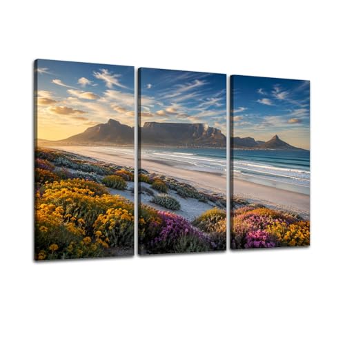 3 Piece Canvas Wall Art scenic view cape town south africa from bloubergstrand Framed Wall Art Prints Painting Artwork Picture Poster Home Decor for Living Room Bedroom Office Hanging