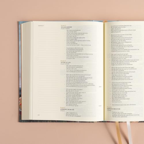 CSB Notetaking Bible, Hosanna Revival Edition, Roan Mountain Cloth Over Board, Black Letter, Single-Column, Journaling Space, Reading Plan, Easy-to-Read Bible Serif Type - image 2