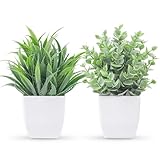 Der Rose 2 Pack Small Fake Plants Mini Artificial Potted Plants for Table Desk Home Laundry Room Bathroom Office Decor