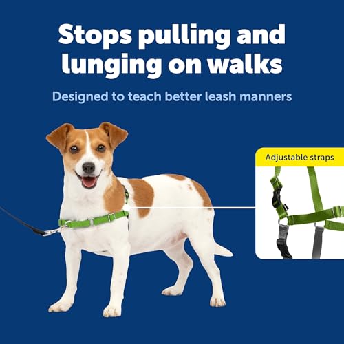 PetSafe Easy Walk No-Pull Dog Harness - Ultimate Harness to Help Stop Pulling - Pull-Free Walks - Take Control & Teach Better Leash Manners - Patented Martingale Loop Design - Apple Green, Small by PetSafe - Image 3