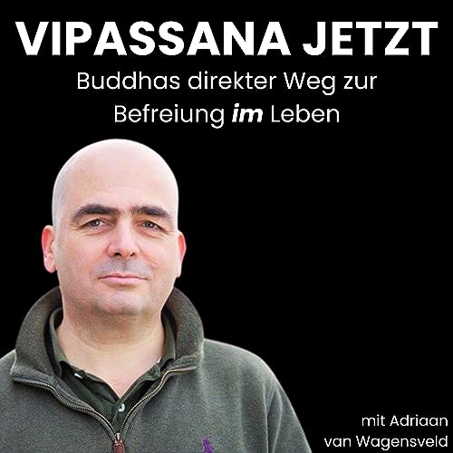 Vipassana Jetzt Titelbild