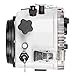 IKELITE 200DL Underwater Housing for Canon EOS 5D Mark III, 5D Mark IV, 5DS, 5DS R DSLR Cameras