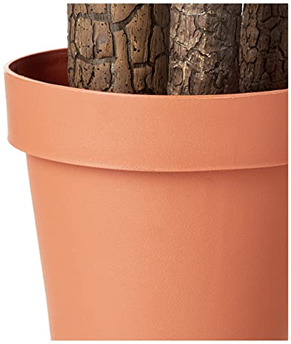 Amazon Basics Artificial Dracaena Tree With Plastic Faux Terracotta Pot, 60-Inch #TOP1