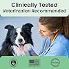 Extend Dog Hip and Joint Supplement Beef Flavored Powder Packets with Glucosamine, Chondroitin, MSM & Collagen, Hip & Joint Support, Mobility & Cartilage Health, Daily Dog Supplement, 60 Count #3