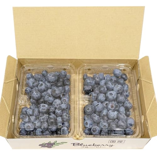 茨城県産 生 ブルーベリー 合計 500g (250g×2P) 多品種 果実 果物 くだもの フルーツ おやつ ブルーベリー ベリー ジャム 小分け [DZ001sa]