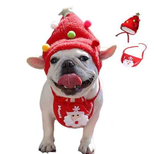 Yucahype NX}X ybg RX`[ RXv  Lp }t[ Xq  ߑ ybg ^ ^ ^ NX}X ʐ^Be (S bh)