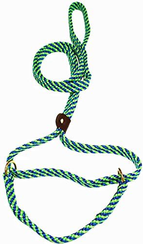 Lone Wolf 5/8 x 6' Flat Braid Martingale Leash Lime Green/Pacific Blue Spiral