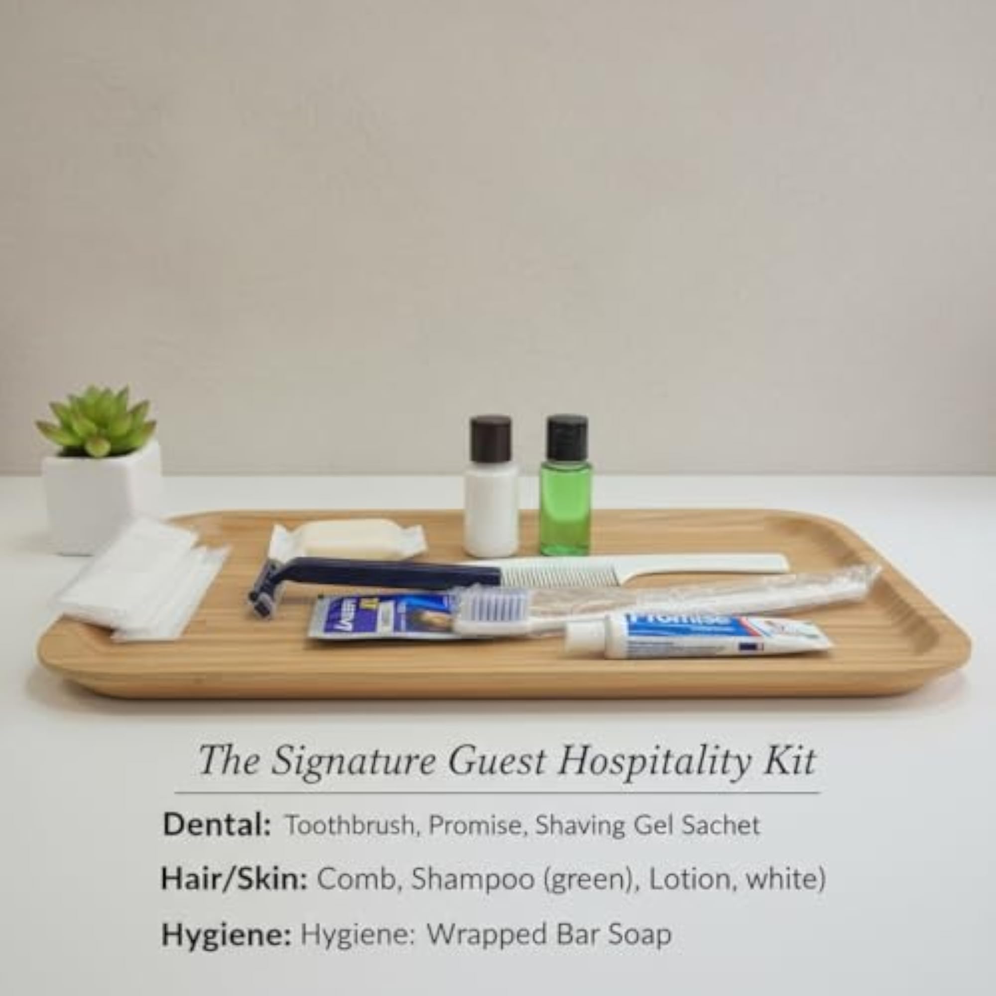 10 Sets Guest Amenity Kits with Zip Pouch