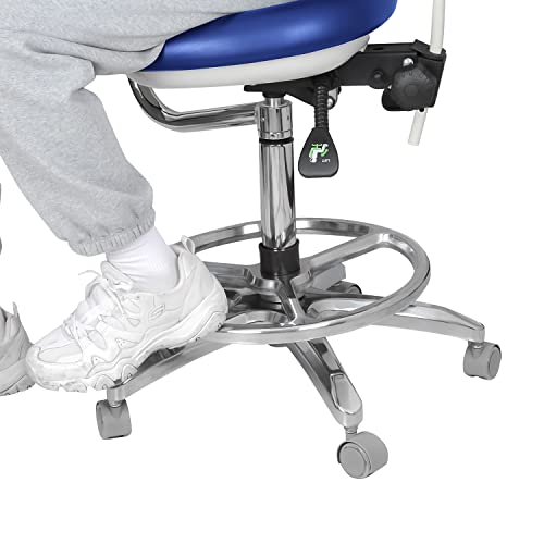 Orilao Dental Chair 360 Degree Dentist Portable Mobile Pu Leather Dentist Chair Rolling Stool With Back Support #TOP5