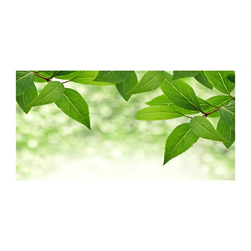 Fond de hotte verre de sécurité trempé Tulup 140x70 splashback cuisine vert feuilles