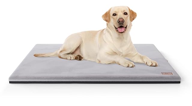 Knuffelwuff Alfombra ortopédica para perros Berrith de imitación suave de piel de conejo 120 x 85 cm, color…