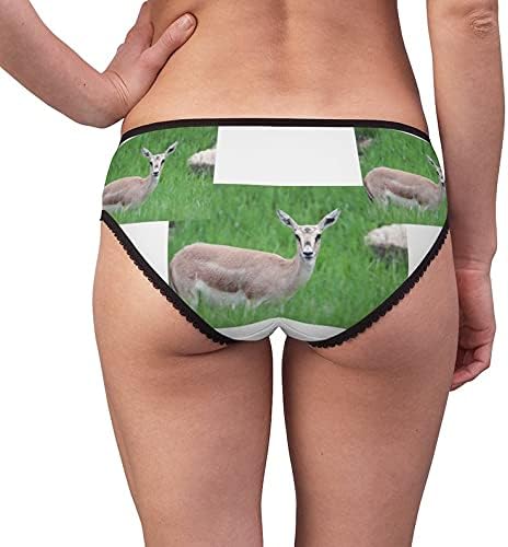 Thomson'S Gazelle Female Panties, Thomson'S Gazelle Female Underwear, Briefs, Cotton Briefs, Underwear, Panties For Women