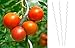Produktbild Unbekannt 20 Stück Tomatenspiralstab 180cm Tomaten Spiralstab Pflanzstab Pflanzspiralstab
