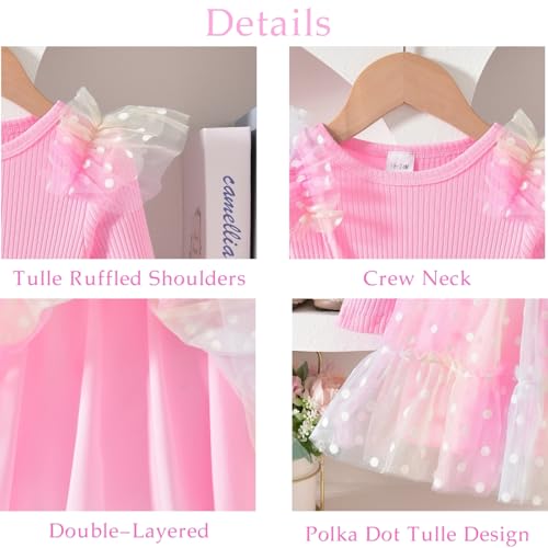 Toddler Girl Long Sleeve Fall Winter Spring Tulle Dress 1-5 Years4