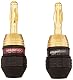 Bananenstecker Amazon Basics Riegel, 12 Paare (24 Stück) in Schwarz