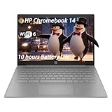 HP Laptop Computer 15.6 for Business Home and Student, with Office 365 for the Web, Windows 11 Home, Thin and Lightweight Notebook, IPS, Intel Dual Core, 4GB RAM, 256GB SSD, Wi-Fi6, Webam, with Hub