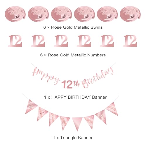 BRT Bearingshui 12th Birthday Decoration Kit, Happy 12th Birthday Banner Bunting Swirls Streamers, T