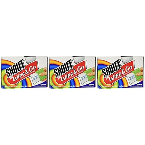 Shout Stain Remover Wipes Pack of 3 Cover