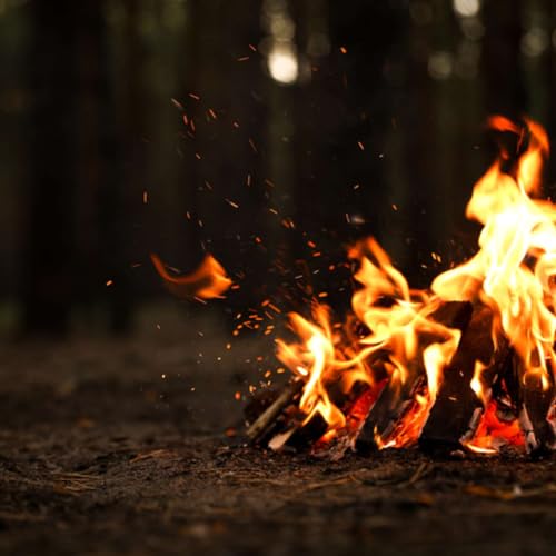Strung Out Episode 275: AROUND THE CAMPFIRE WITH PASTOR DREW JACQUES