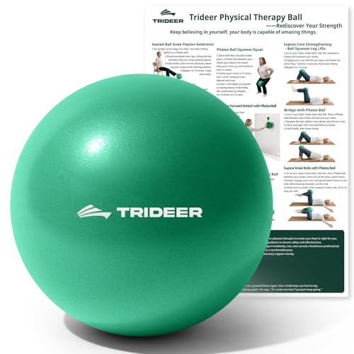 best gym ball for physical therapy