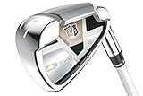 Wilson D250 Damen Graphite Eisenset